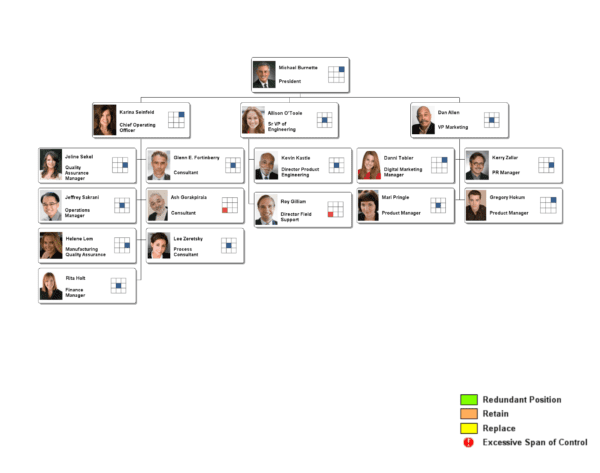 Org Chart Examples from OrgChartPro.com